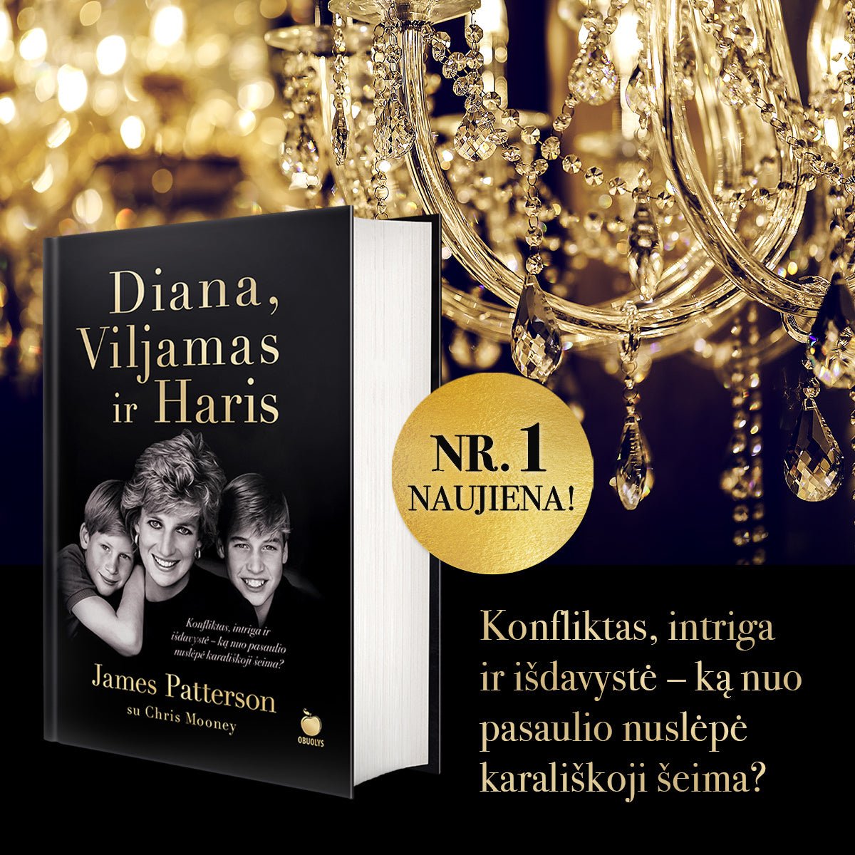 DIANA, VILJAMAS IR HARIS: New York Times bestseleris! Konfliktas, intriga ir išdavystė - OBUOLYS