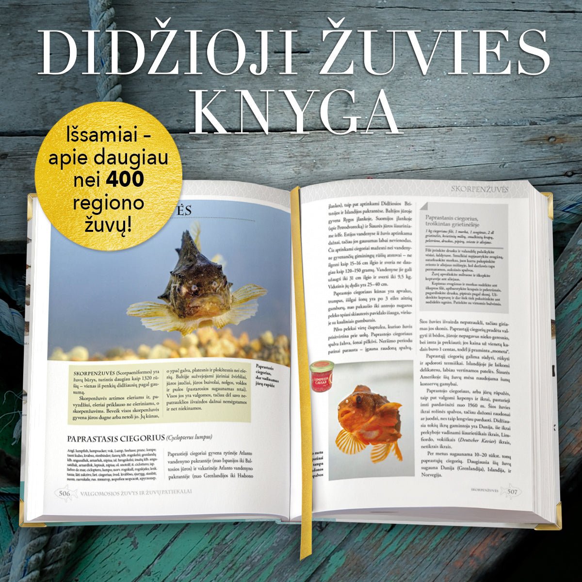 DIDŽIOJI ŽUVIES KNYGA: šimtai žuvų, žūklės patarimų + RECEPTAI – beveik 3 kg XXL spalvotai iliustruotoje knygoje - OBUOLYS