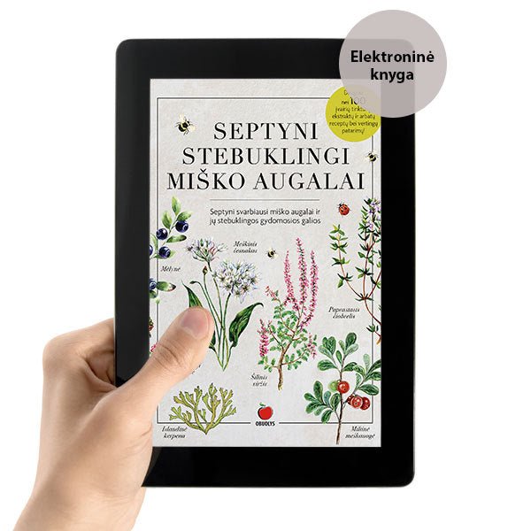 E - knyga SEPTYNI STEBUKLINGI MIŠKO AUGALAI: daugiau nei 100 įvairių tinktūrų, ekstraktų ir arbatų receptų bei vertingų patarimų! - OBUOLYS