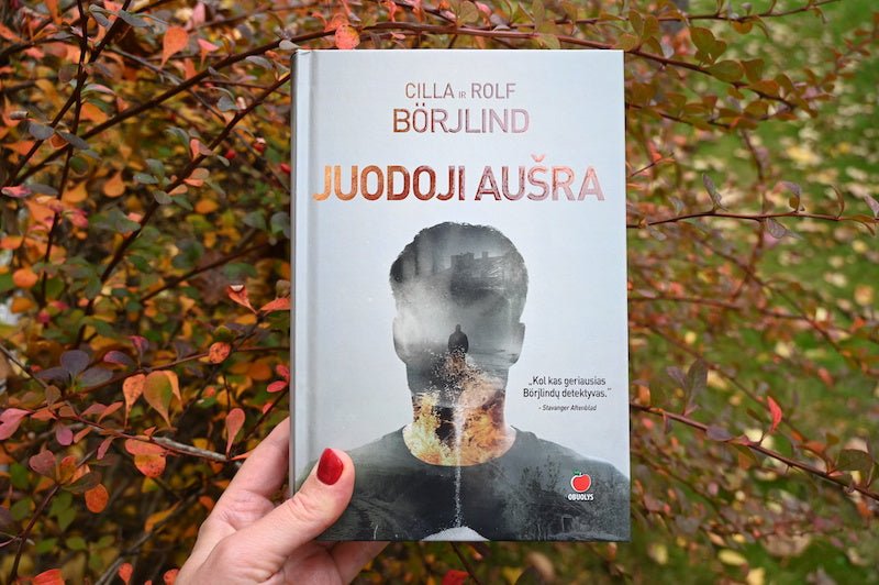 JUODOJI AUŠRA: Švedijos miestelius sukrečia siaubingi nusikaltimai, o tyrimas atskleidžia tamsias paslaptis... - OBUOLYS