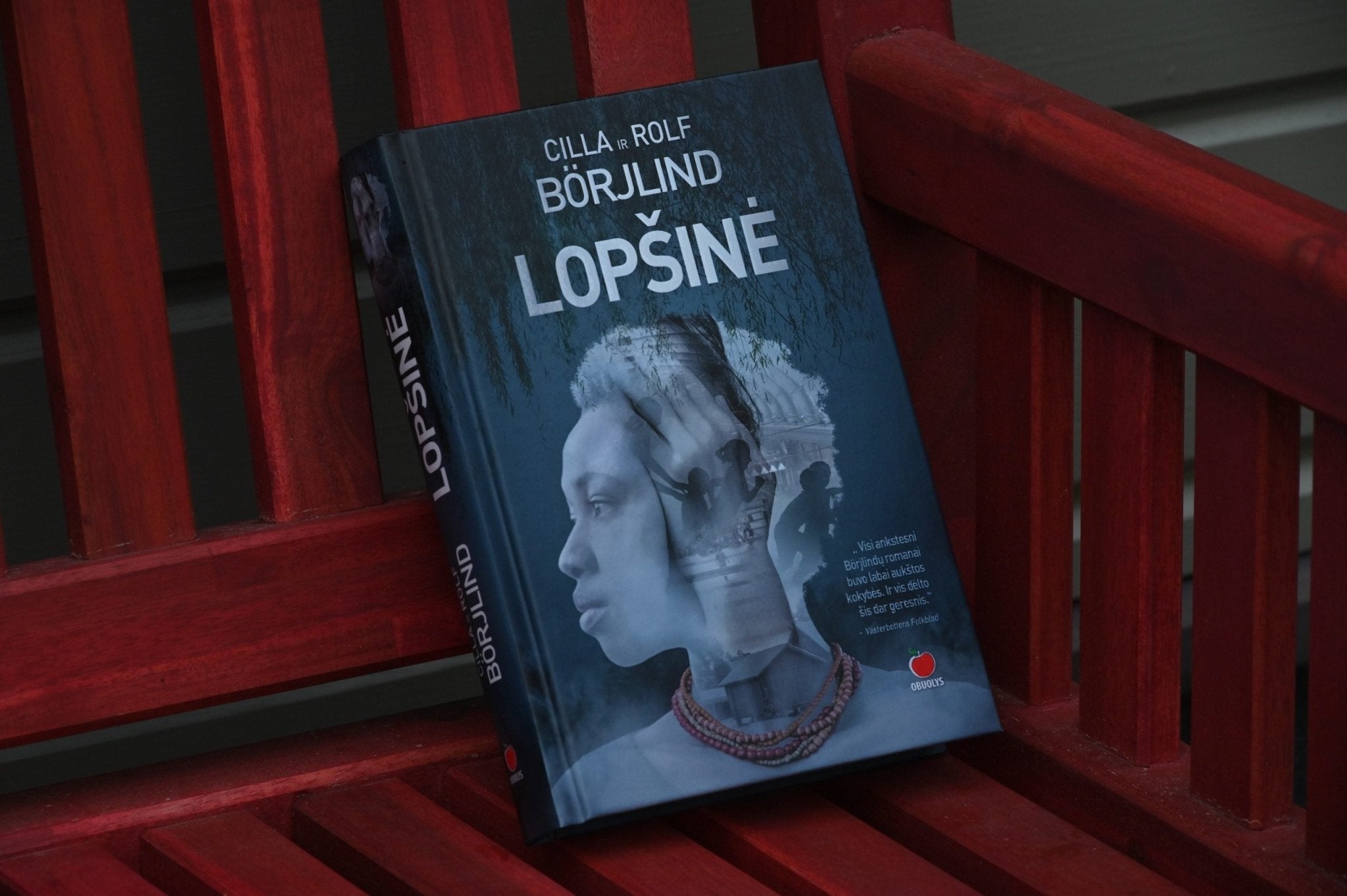 LOPŠINĖ: 4 - asis Cillos ir Rolfo Börjlindų romanas - OBUOLYS