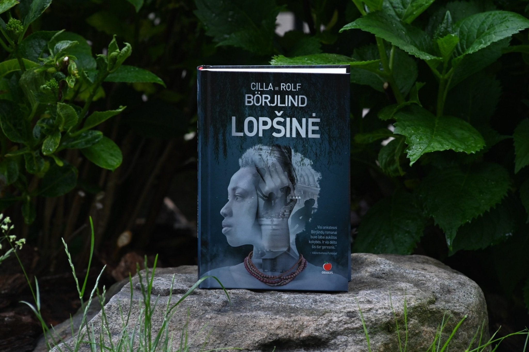 LOPŠINĖ: 4 - asis Cillos ir Rolfo Börjlindų romanas - OBUOLYS