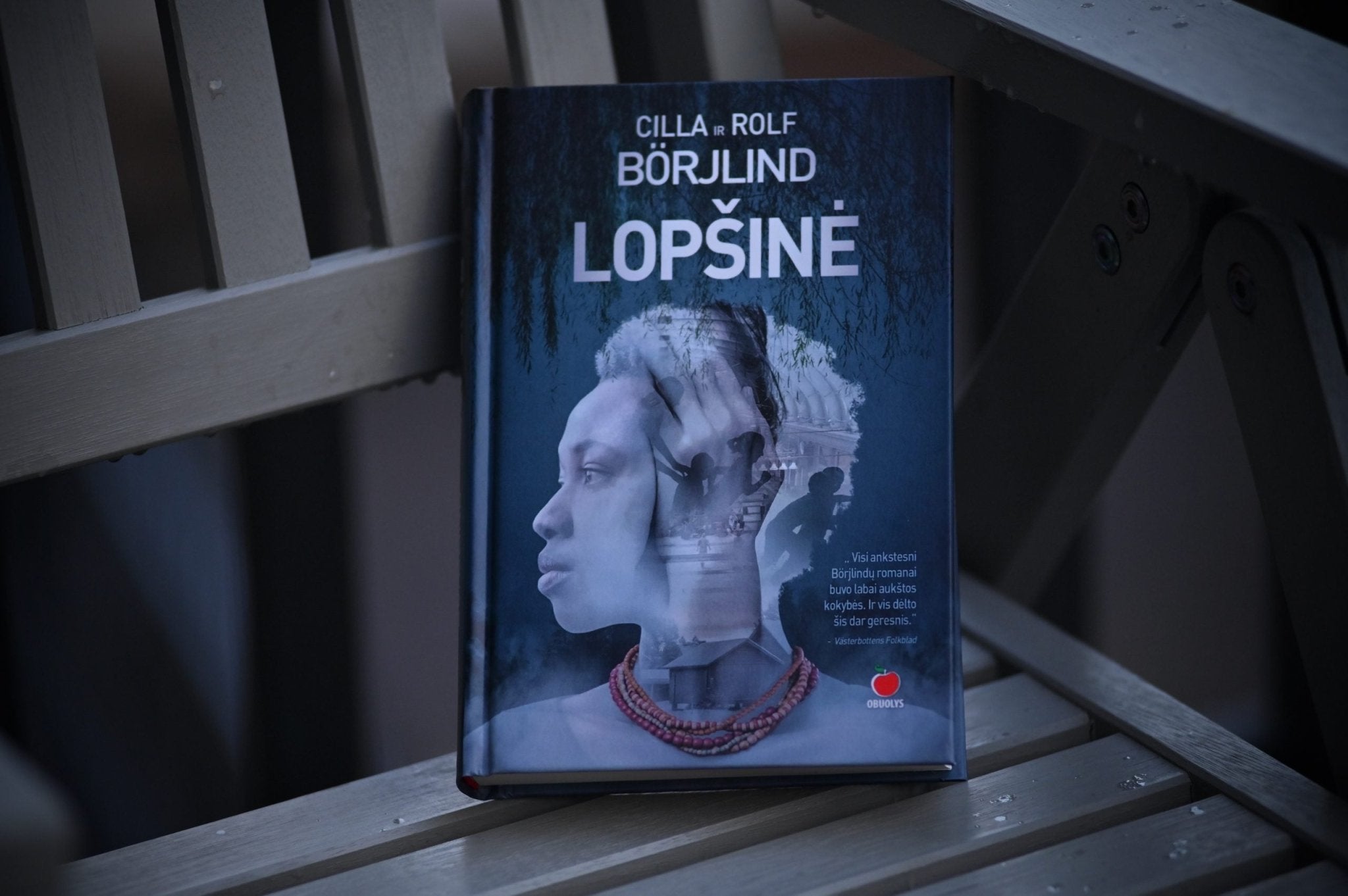 LOPŠINĖ: 4 - asis Cillos ir Rolfo Börjlindų romanas - OBUOLYS