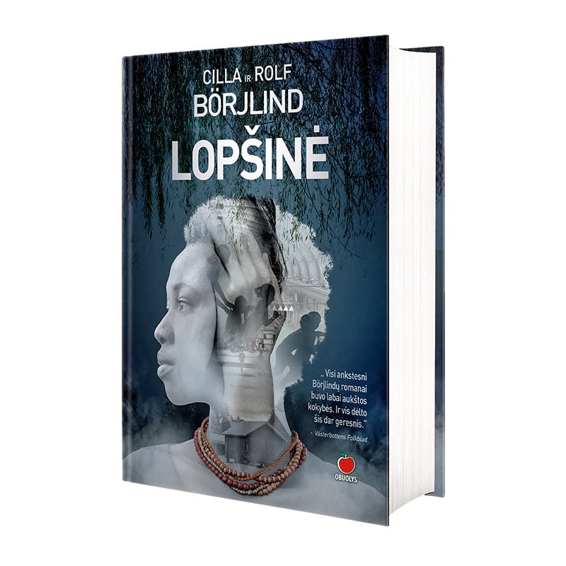 LOPŠINĖ: 4 - asis Cillos ir Rolfo Börjlindų romanas - OBUOLYS