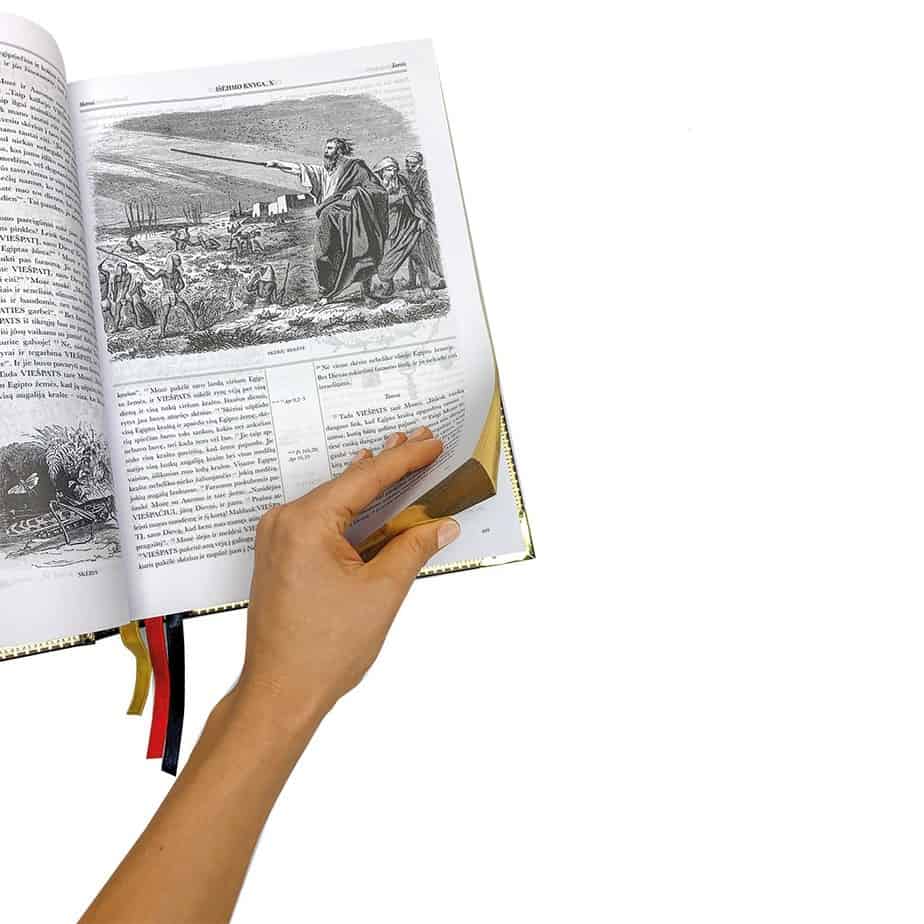 ŠEIMOS BIBLIJA: gražiausia ir didžiausia pasaulyje iliustruota lietuviška Biblija - OBUOLYS